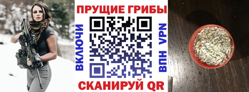 Псилоцибиновые грибы Magic Shrooms  MEGA tor  Балтийск 