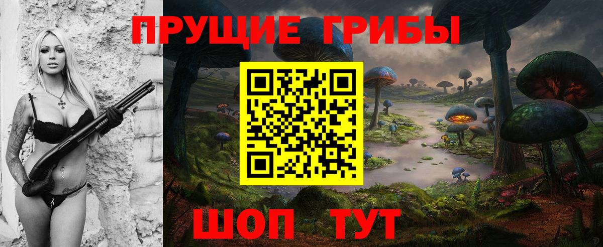 Галлюциногенные грибы прущие грибы Балтийск