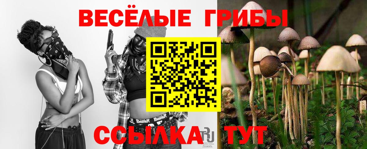 Балтийск  Галлюциногенные грибы GOLDEN TEACHER  Вход с VPN 